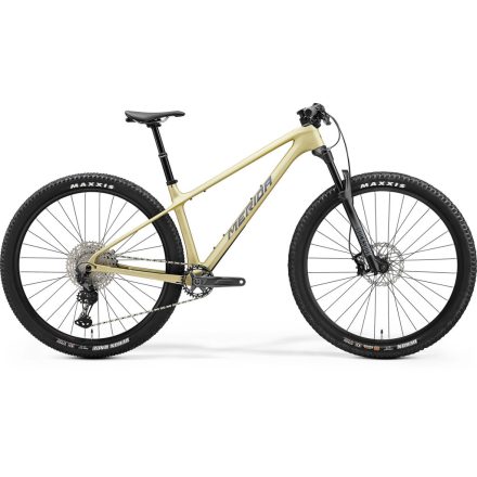 MERIDA BIG.NINE TR 5000 SELYEM PEZSGŐ (KÉK/FEKETE)