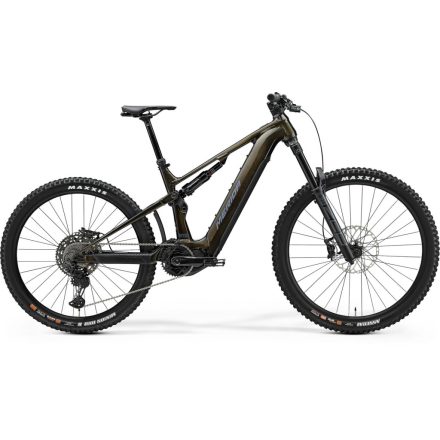 MERIDA eONE-SIXTY 875 IV1 ARANY (SZÜRKE) - SHIMANO
